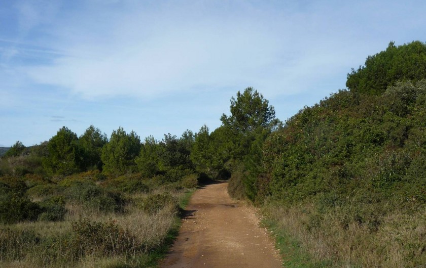 Location de vacances - Appartement à Frontignan - CHEMINS VTT DANS COLLINES DE LA GARDIOLE