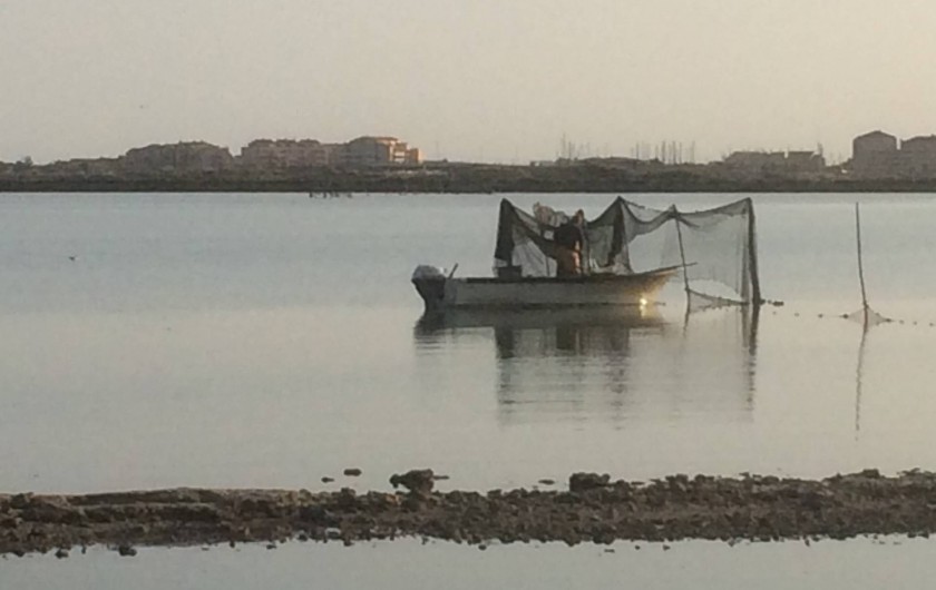 Location de vacances - Appartement à Frontignan - ETANGS