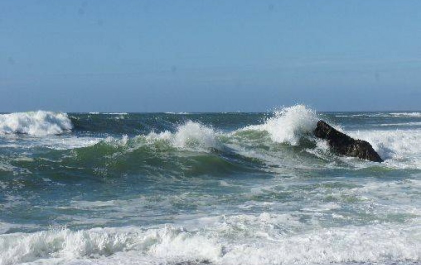 Location de vacances - Maison - Villa à La Turballe