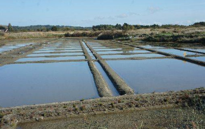 Location de vacances - Maison - Villa à La Turballe