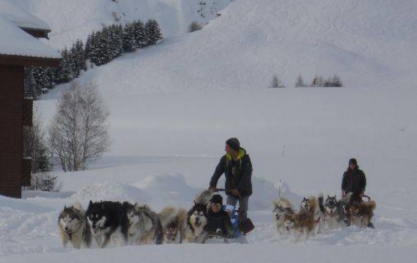 Location de vacances - Studio à La Toussuire