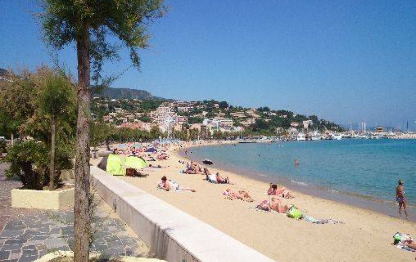 Location de vacances - Studio à Le Lavandou