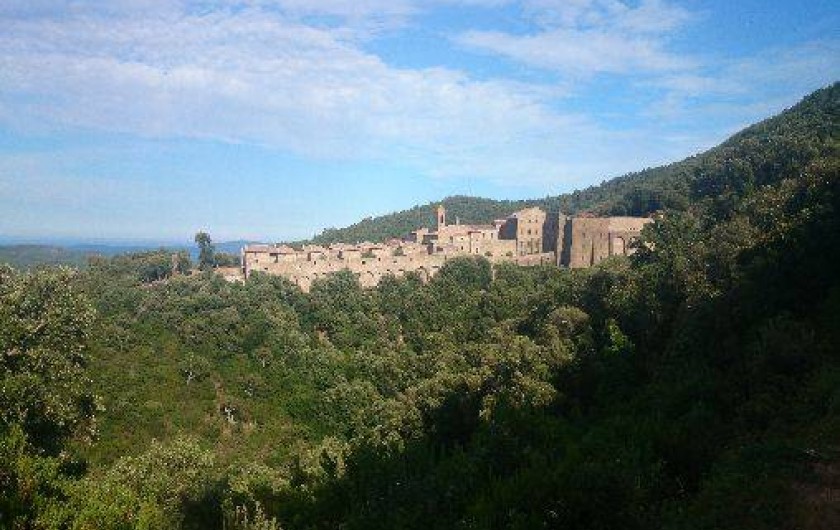 Location de vacances - Studio à Le Lavandou
