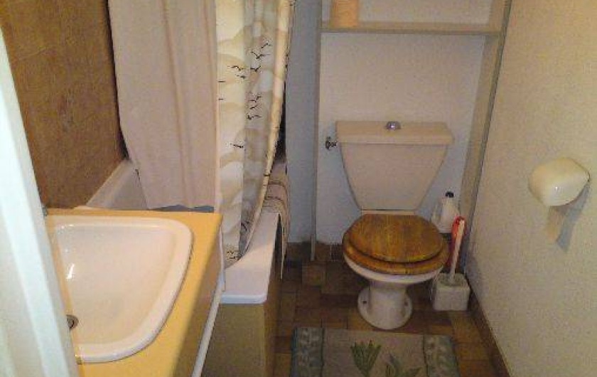 Location de vacances - Studio à Le Lavandou