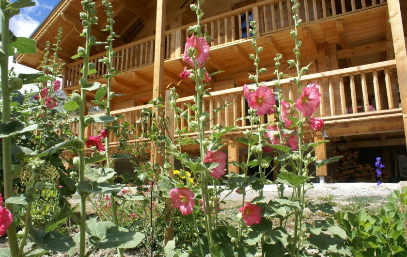 Location de vacances - Chalet à Saint-Paul-sur-Ubaye - les roses trémières