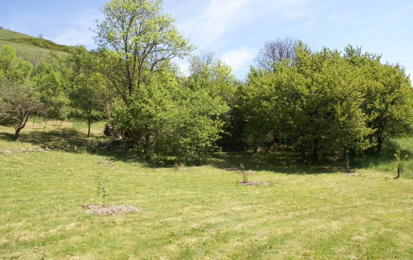 Location de vacances - Chalet à Saint-Paul-sur-Ubaye - le petit bois sur le jardin
