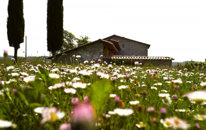 Location de vacances - Gîte à Berga