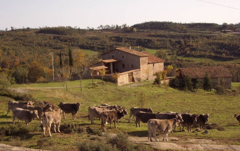 Location de vacances - Gîte à Berga