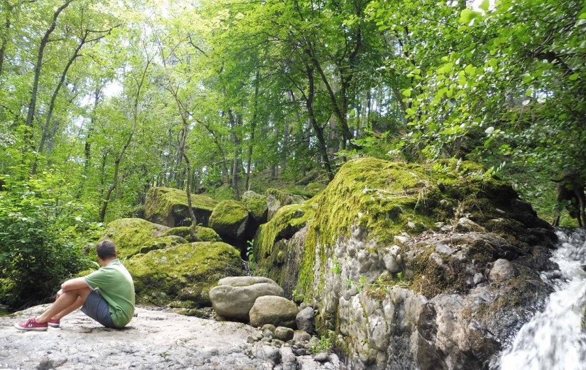 Location de vacances - Gîte à Vernoux-en-Vivarais - Un coin de verdure au bord duquel coule une petite rivière
