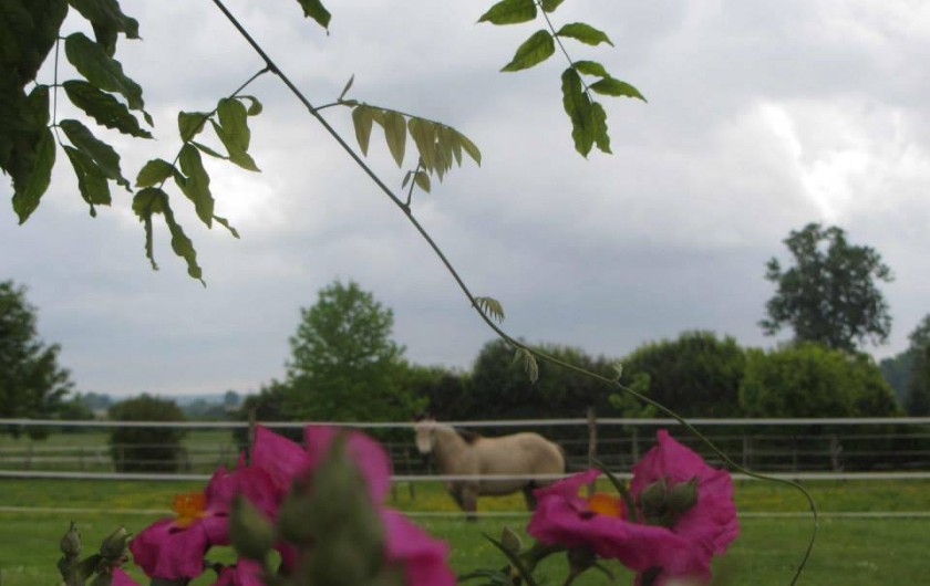 Location de vacances - Chambre d'hôtes à Ardin - Nos extérieurs