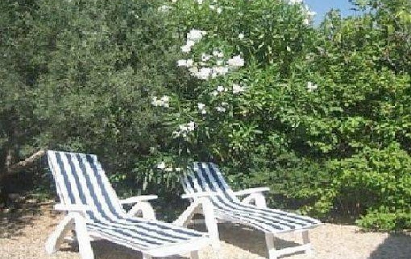 Location de vacances - Maison - Villa à Maussane-les-Alpilles