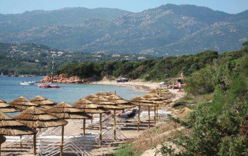 Location de vacances - Villa à Porto-Vecchio