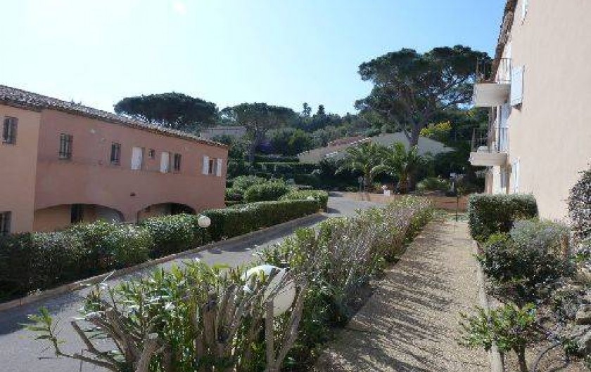 Location de vacances - Appartement à Sainte-Maxime