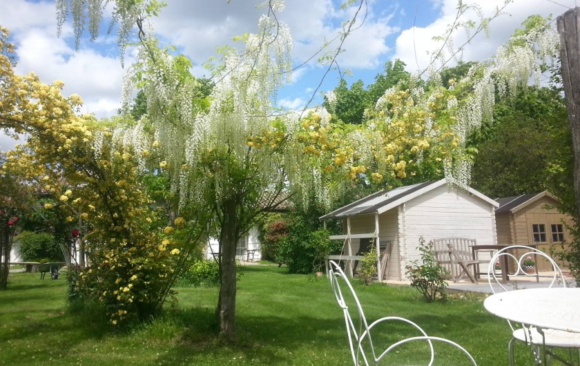 Location de vacances - Chambre d'hôtes à Saint-Thomas - Salon de jardin sous une glycine