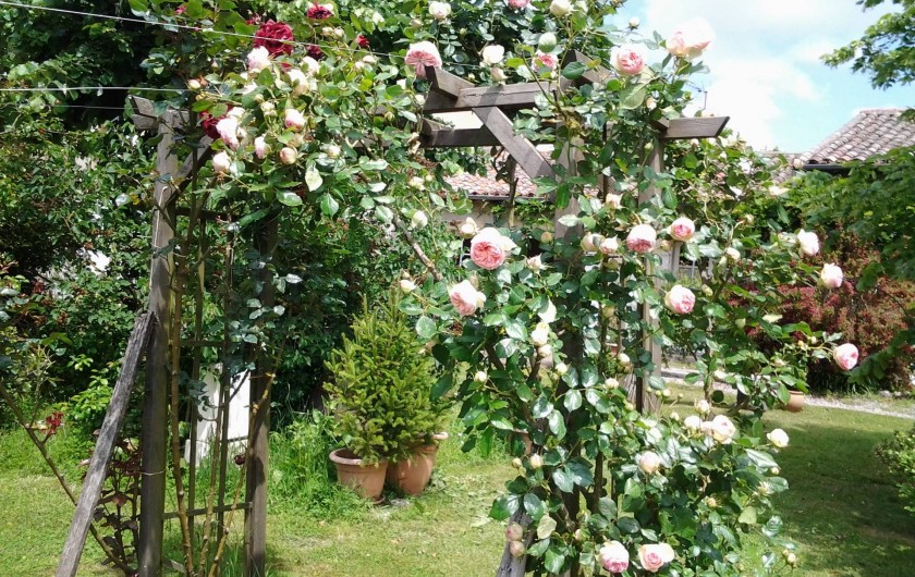 Location de vacances - Chambre d'hôtes à Saint-Thomas - Rosier Pierre de Ronsard