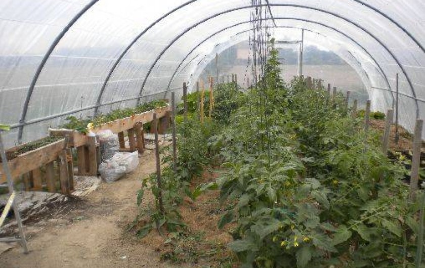 Location de vacances - Maison - Villa à Arthez-de-Béarn