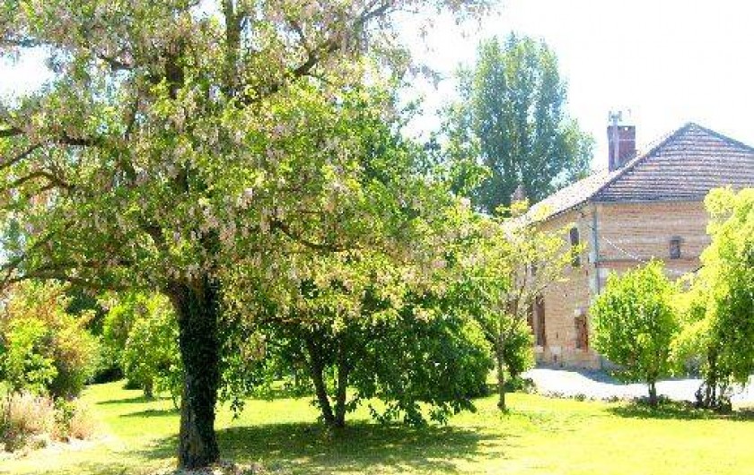 Location de vacances - Gîte à Sainte-Livrade-sur-Lot