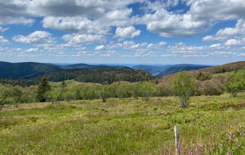 Location de vacances - Chalet à La Bresse