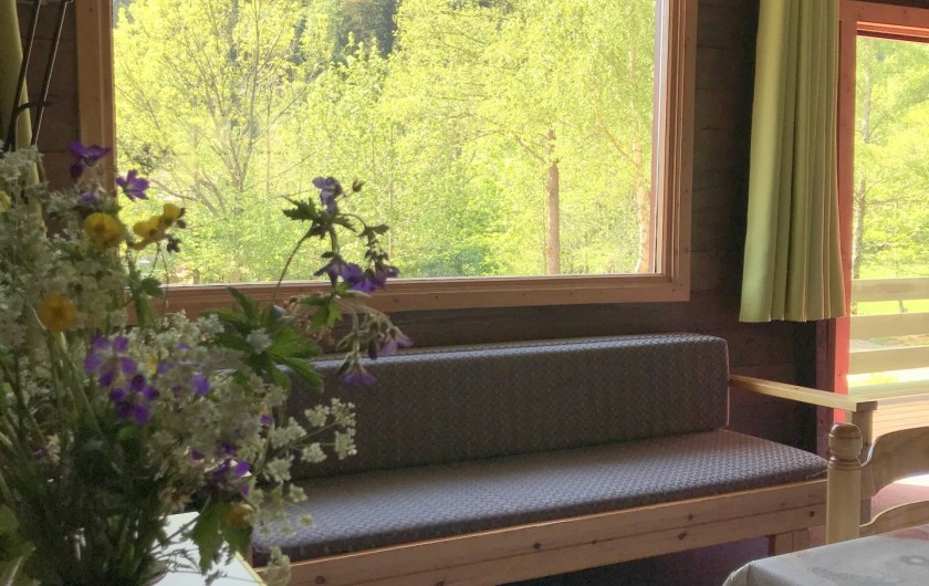 Location de vacances - Chalet à La Bresse