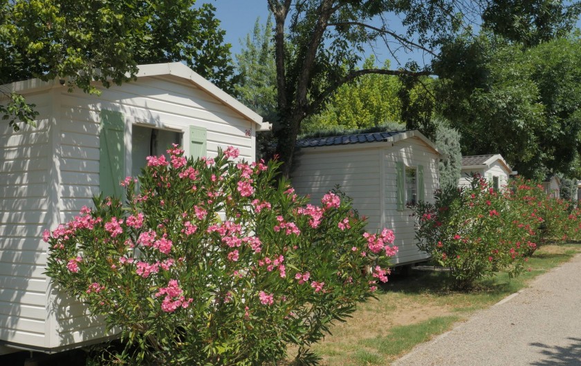 Location de vacances - Camping à Ruoms