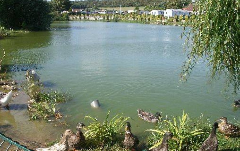 Location de vacances - Camping à Roussent