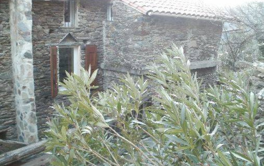 Location de vacances - Gîte à Les Plantiers