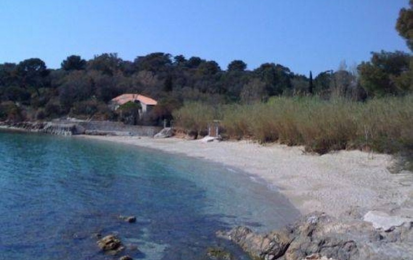 Location de vacances - Maison - Villa à Hyères