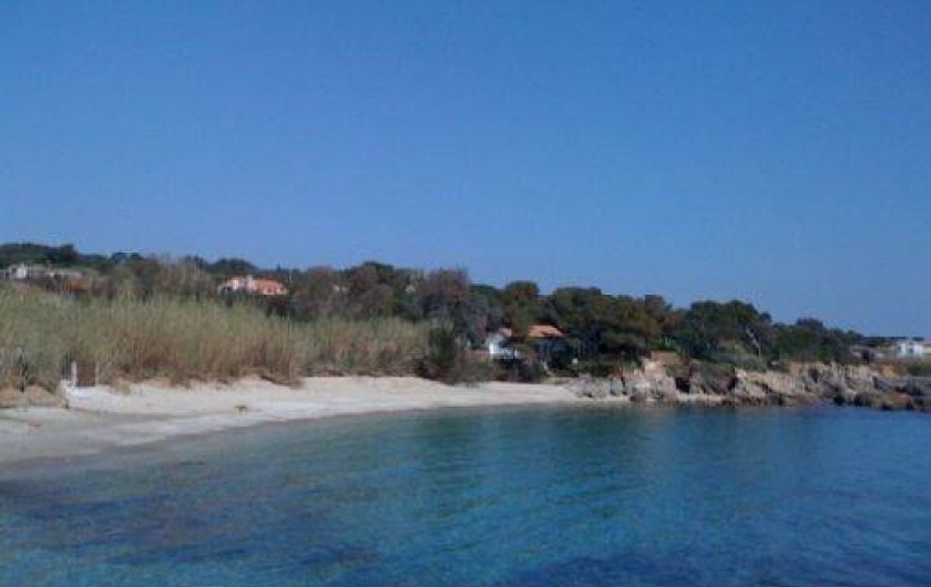 Location de vacances - Maison - Villa à Hyères