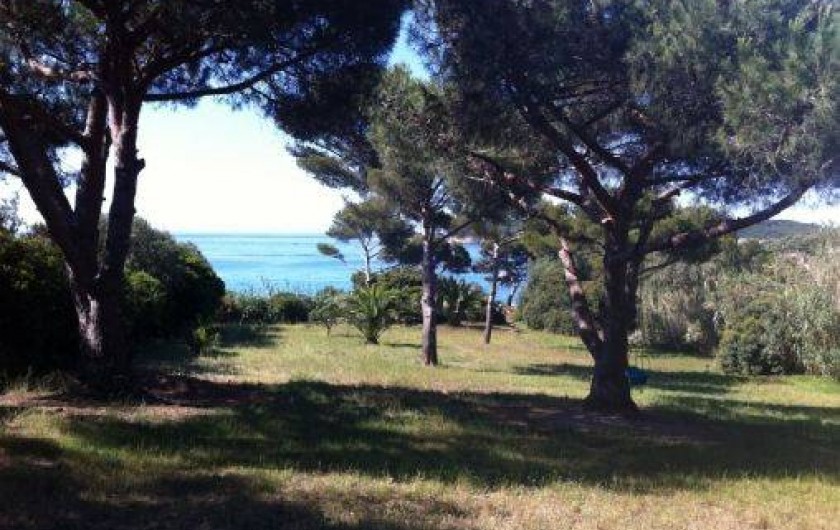 Location de vacances - Maison - Villa à Hyères