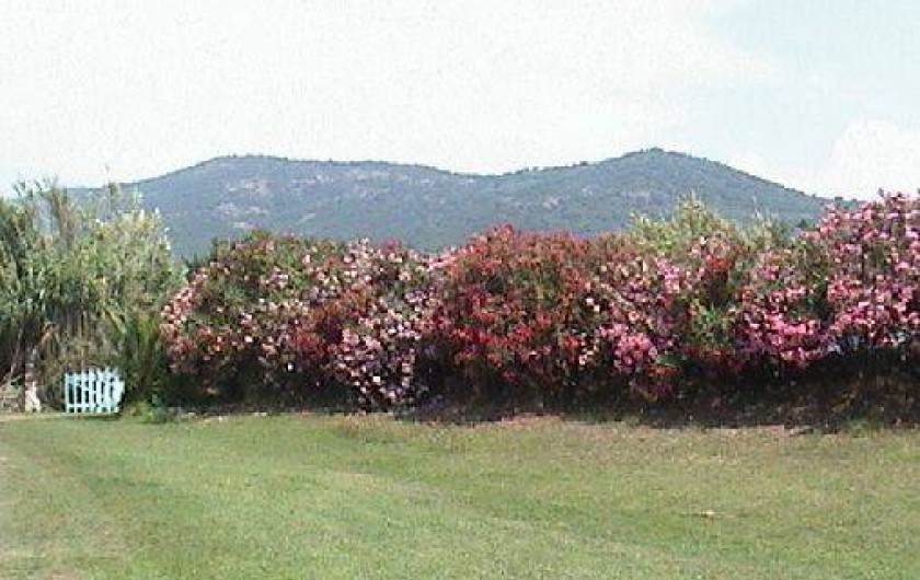 Location de vacances - Bungalow - Mobilhome à Cargèse