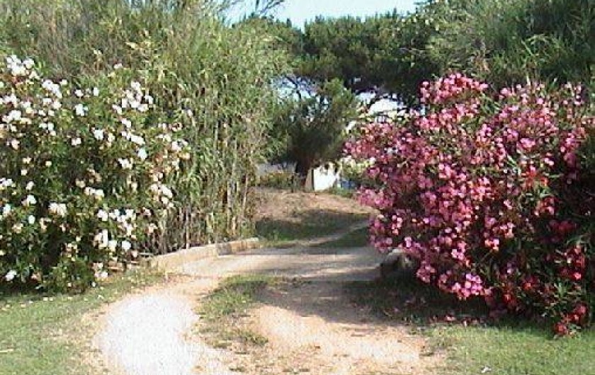 Location de vacances - Bungalow - Mobilhome à Cargèse