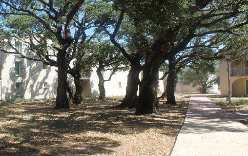 Location de vacances - Appartement à Lecci