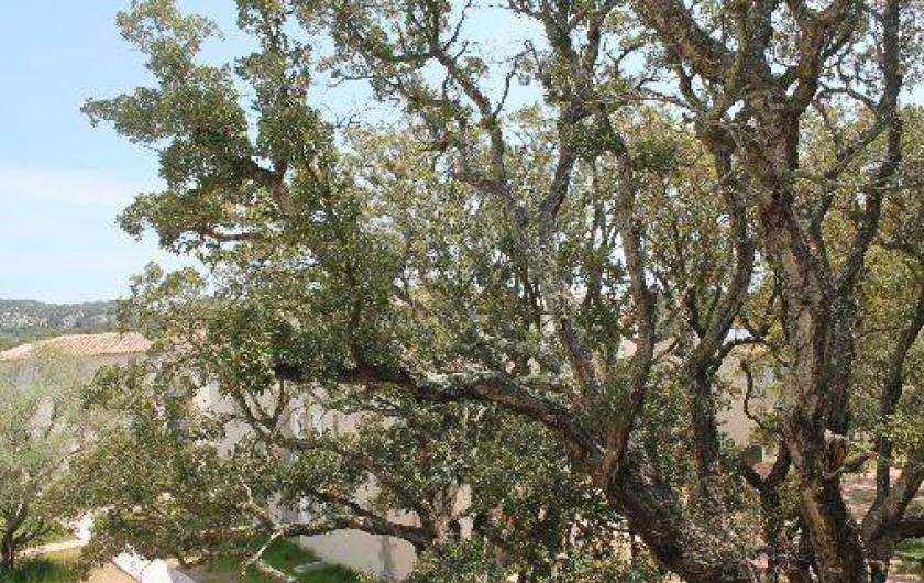 Location de vacances - Appartement à Lecci