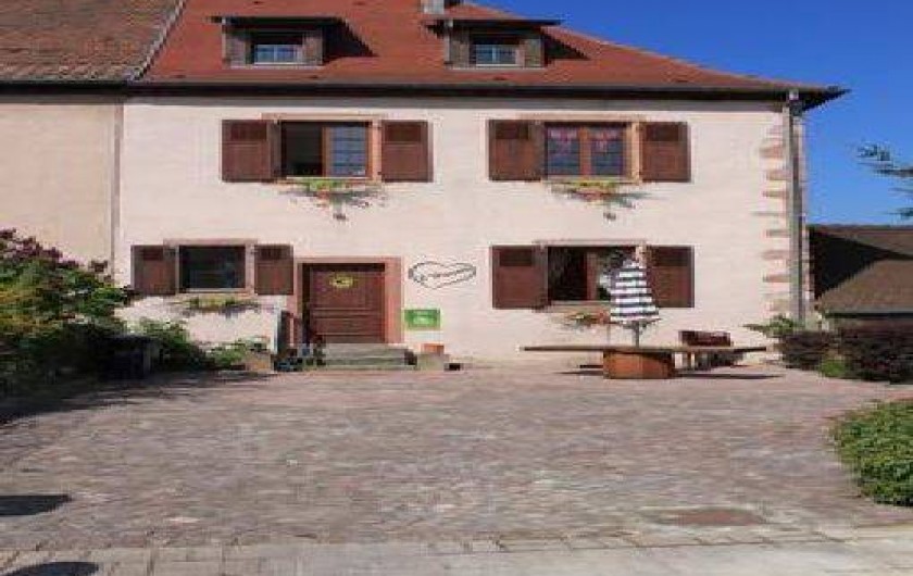 Location de vacances - Gîte à Bergheim