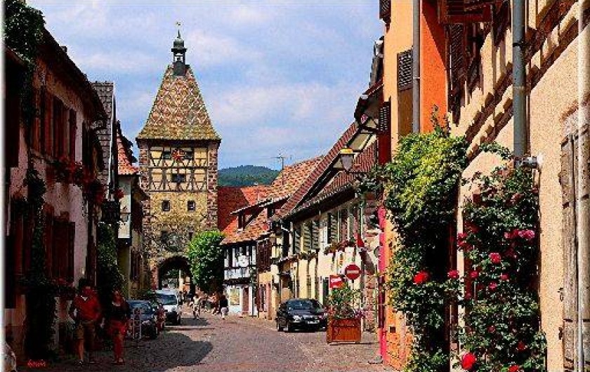 Location de vacances - Gîte à Bergheim
