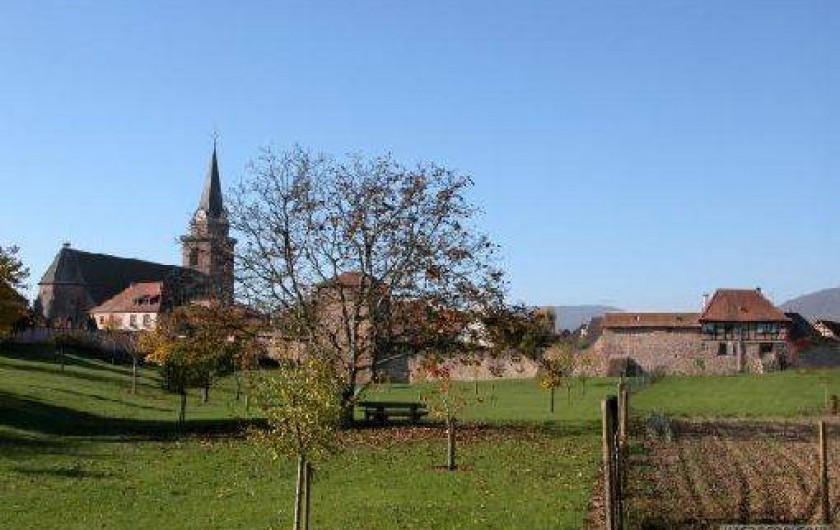 Location de vacances - Gîte à Bergheim