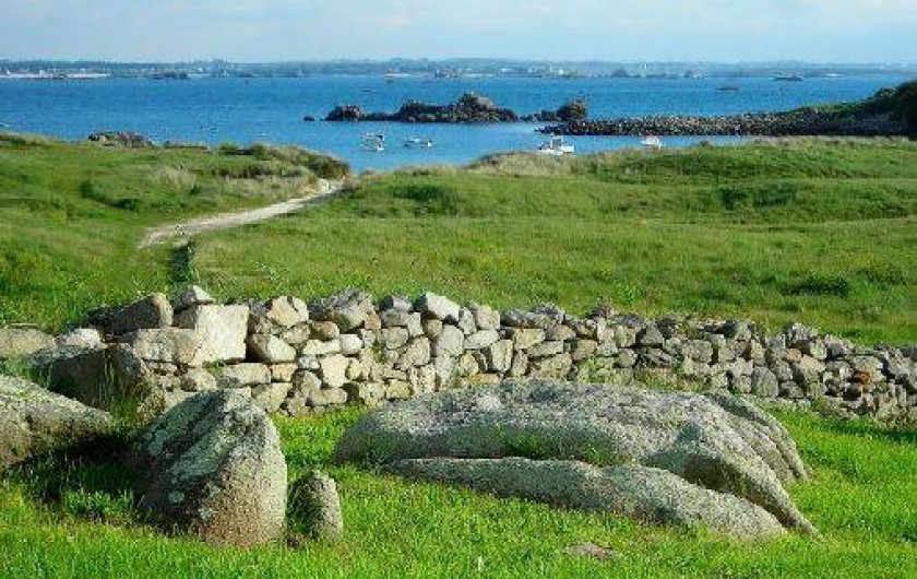 Location de vacances - Maison - Villa à Île-de-Batz