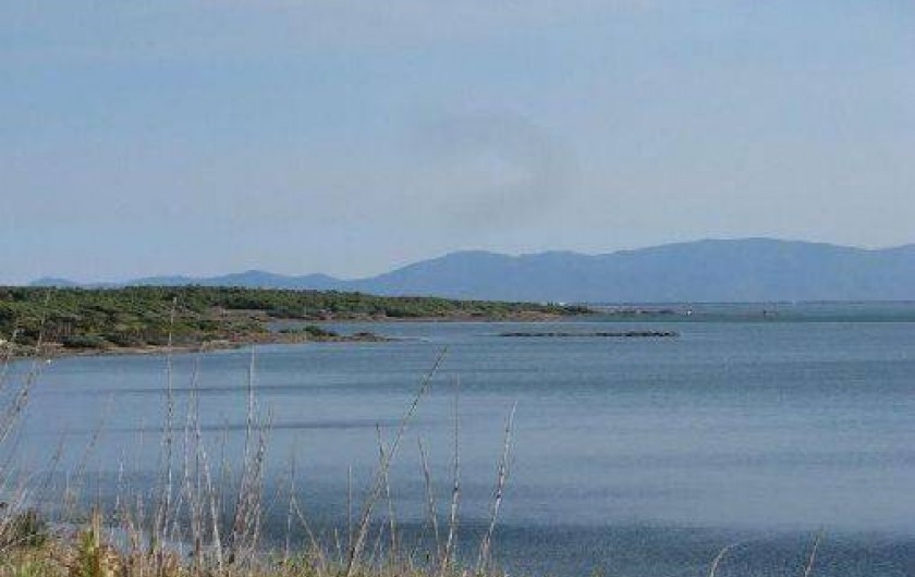 Location de vacances - Maison - Villa à Villeneuve-les-Corbières