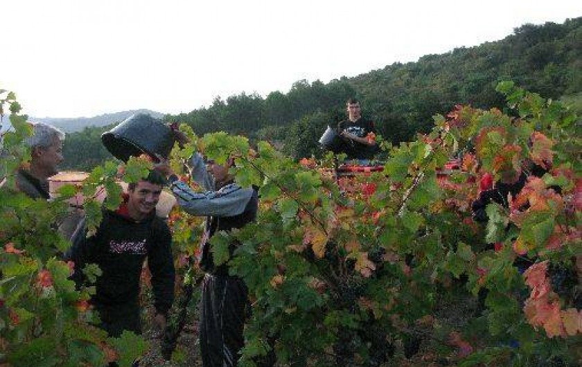 Location de vacances - Maison - Villa à Villeneuve-les-Corbières
