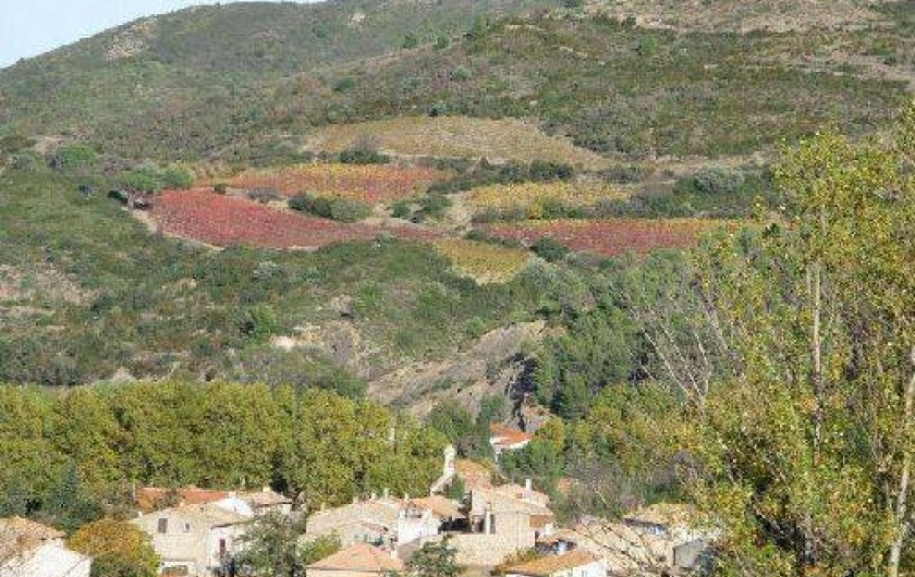 Location de vacances - Maison - Villa à Villeneuve-les-Corbières