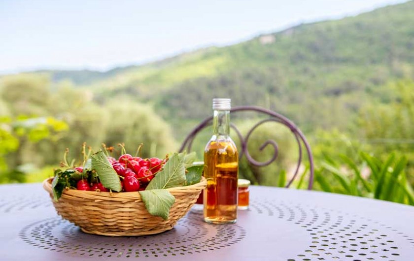 Location de vacances - Appartement à Le Bar-sur-Loup - CADEAU D ACCUEIL