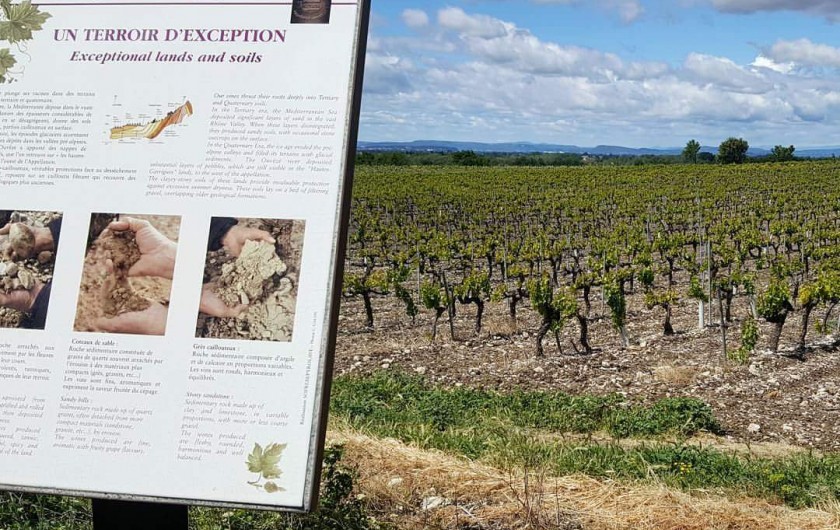 Location de vacances - Gîte à Vacqueyras - Vignobles