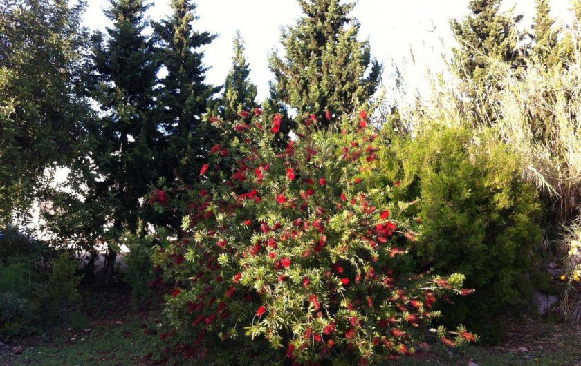 Location de vacances - Villa à Tavira