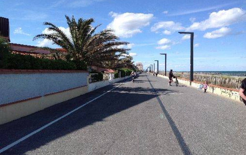 Location de vacances - Villa à Saint-Cyprien