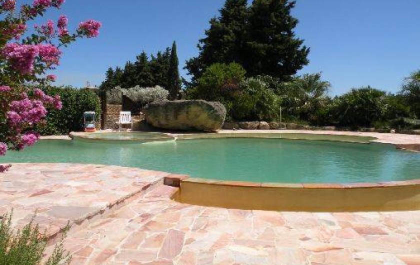 Location de vacances - Maison - Villa à Mazan - La piscine et son spa