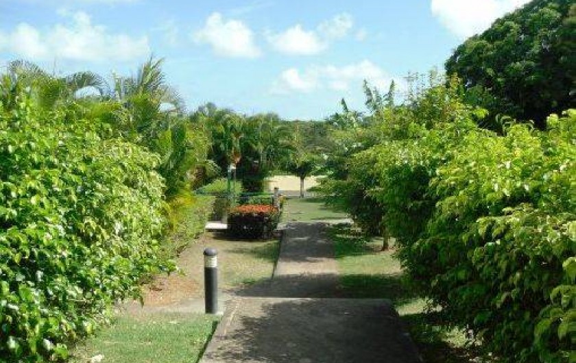 Location de vacances - Appartement à Sainte-Anne