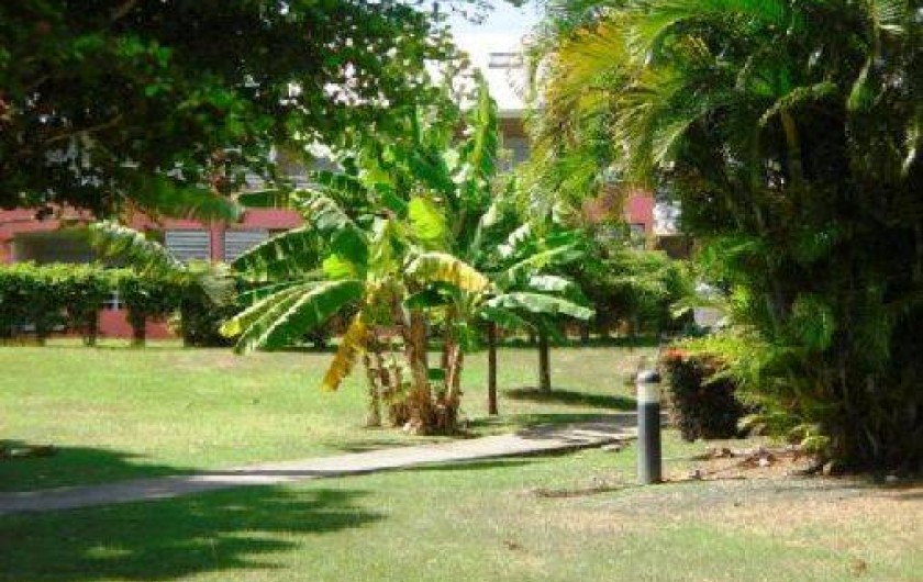 Location de vacances - Appartement à Sainte-Anne