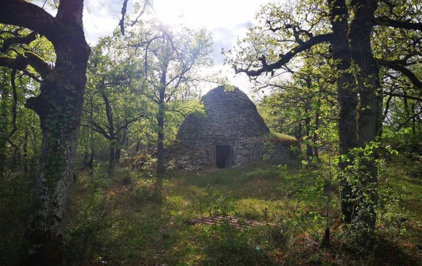 Location de vacances - Appartement à Peyrilles