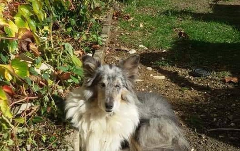 Location de vacances - Appartement à Peyrilles