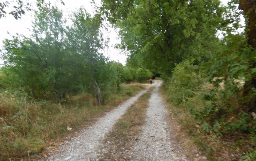 Location de vacances - Appartement à Peyrilles